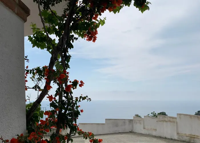 Mareluna - Near The , Family Pet Friendly ! *