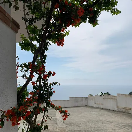 Villa Mareluna - Near The Beach , Family Residence Pet Friendly ! *