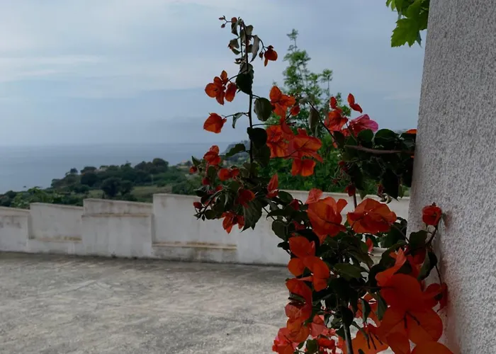 Ferienhaus Mareluna - Near The , Family Pet Friendly !